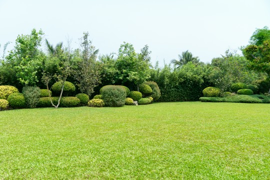 zielony ogród